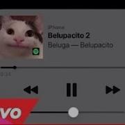 Belupacito 2