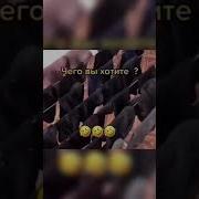 Кто Вы Батины Носочки Чего Вы Хотите