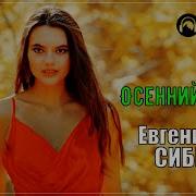 Евгений Сибирцев 2024
