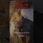Икки Юзли Одамлар