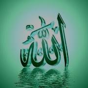 Wagyz5 Turkmen Jelaledin Ahun