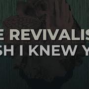 Wish I Knew You The Revivalists