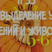 5 6 Класс П 35 Биология