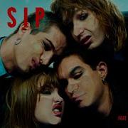 Sip The Gossip Maneskin