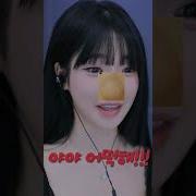 과즙세연 우유