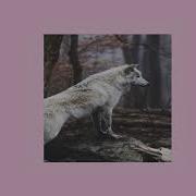 Wolves Slowed