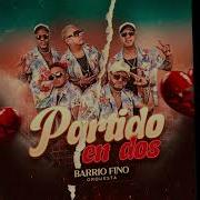 Partido En Dos Salsa