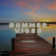 Summer Trip Zyd Sounds