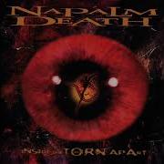 Down In The Zero Napalm Death