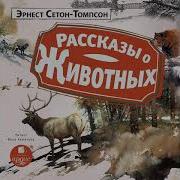 Рассказы О Животных Сетон Томпсон Слушать