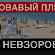 Александр Невзоров Как Нужно Бить Жену