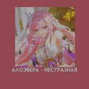 Алоэвера Несуразная Speed Up