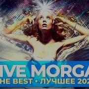 Stive Morgan The Best