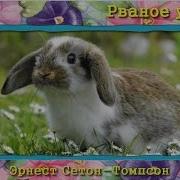 Рваное Ушко