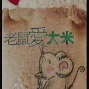 老鼠爱大米