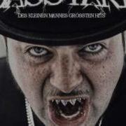 Mc Bastard Vorhang Auf