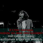 Ария Зайца Караоке