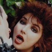 Kate Bush Extended Cuts 25