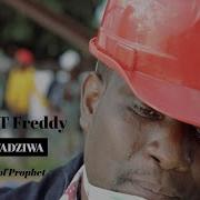 Profert T Fred