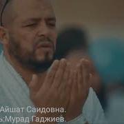 Нашид Про Курбан Байрам