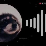 Pedro Ringtone
