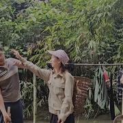 Телефоный Звонок Мити