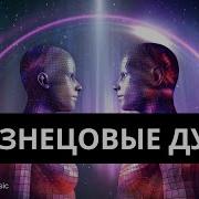 Близнецовой
