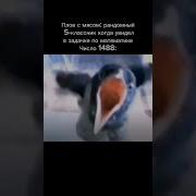 Смех Пасхалко
