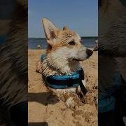 Это Я На Пляже Летом В Таганроге Это Мои Губы