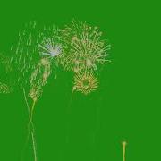 Green Screen Fireworks