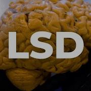 Lsd