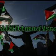 Zalzil Amna Israel