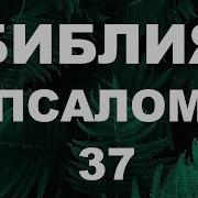 Псалом 37 На Русском Языке