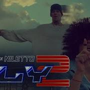 Zivert Niletto
