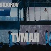 Туман Nansi Sidorov Минус