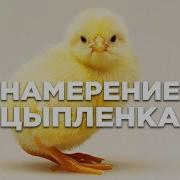 Сила Намерения