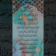 Al Bayina