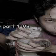 Gilang Ojol Viral Monyet