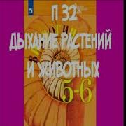 5 6 Класс Биология 32 П