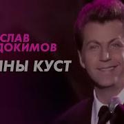 Калины Куст
