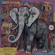 Tamer Elderini Polye Mark Macleod