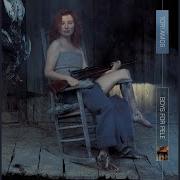 Tori Amos Mr Zebra