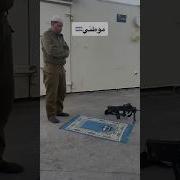 شجاع حيدر وآيمة بيج استوديو كوكاكولا