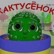 Песенка Про Кактус