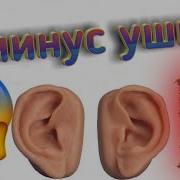 Самое Громкое Видео
