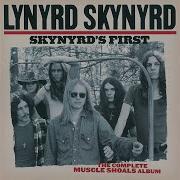 Lynyrd Skynyrd Down South Jukin