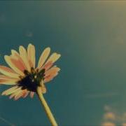 Everywhere Feat Martina Topley Bird