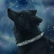 Волчий Дождь Ост Heaven S Not Enough Русский Кавер От Jackie O