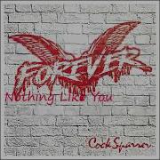 Cock Sparrer Nothing Like You