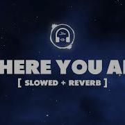 Where You Are Vocals Only Slowed Reverb Nasheed Background Soundtrack